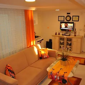 Deniz Manzarasi, Marti Sesleri Esliginde Apartment Istanbul